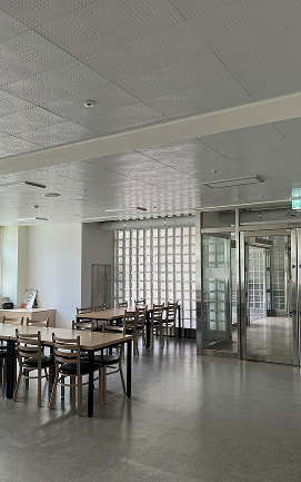 Korea's first design-applied ceiling finishing material